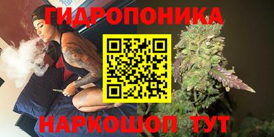 шишки Анжеро-Судженск