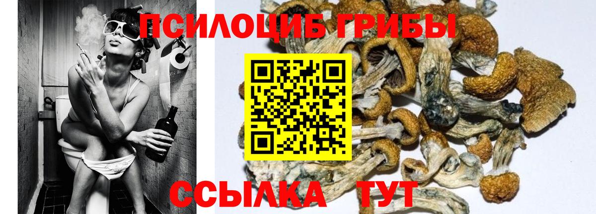 Галлюциногенные грибы Cubensis Аргун